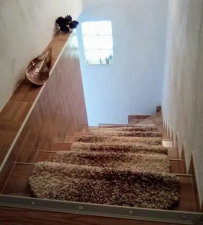 Natural House * Sarajevo
